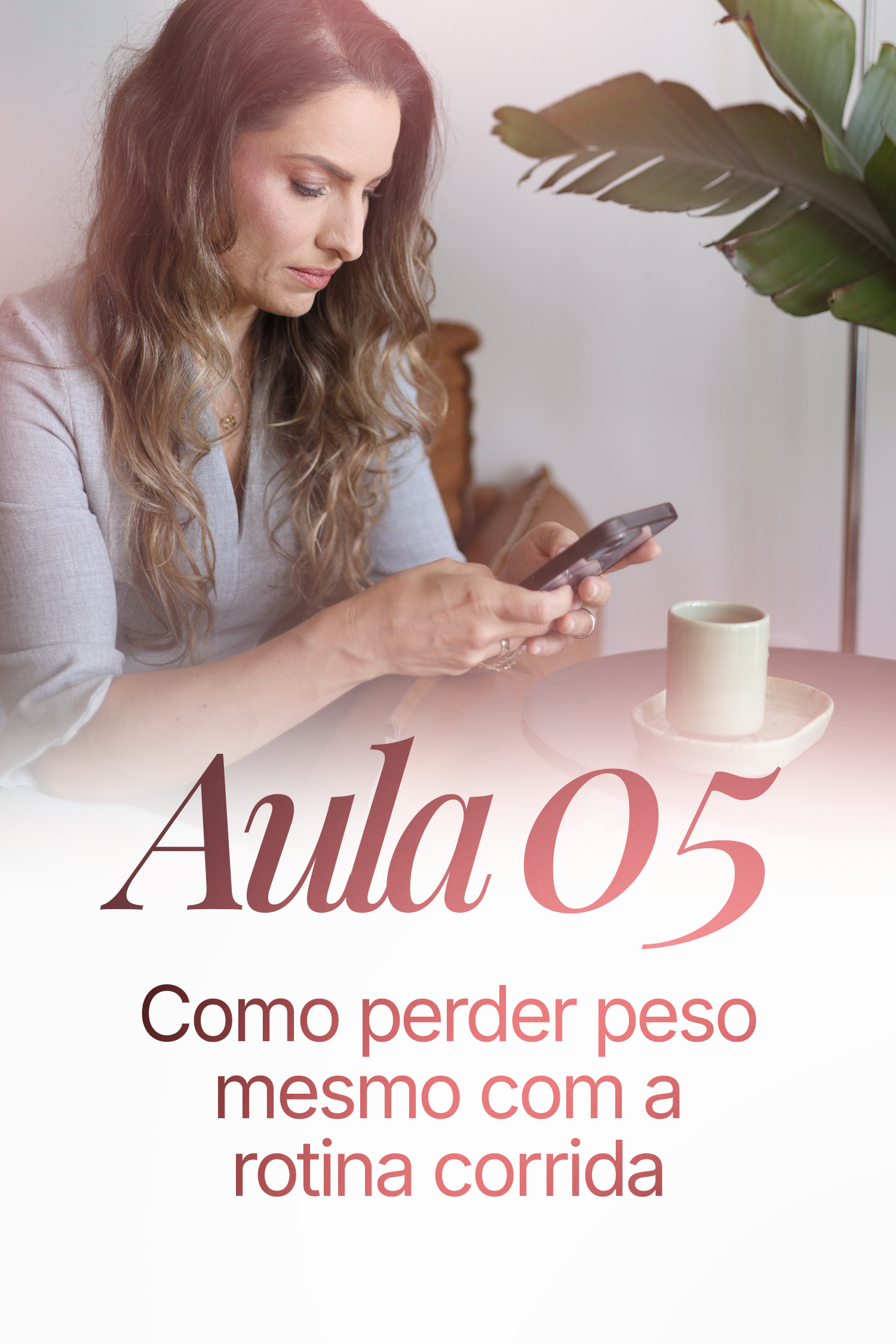 capa---modulo2---aulasa5